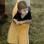 IMG_1178